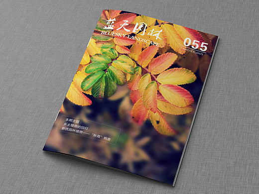《蓝天园林》56期杂志排版