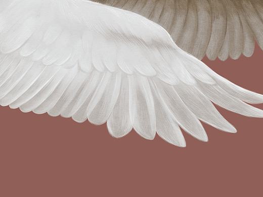 大白鷺（個(gè)人主頁-ZMjE1NTUyMjA=） - 創(chuàng)作習(xí)作 - 站酷設(shè)計(jì)師你是一只羊原創(chuàng)素材 - 站酷ZCOOL