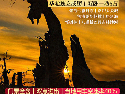 旅游海报（个人主页-ZNTQxNDYxMDQ=） - 海报 - 站酷设计师Wulf原创素材 - 站酷ZCOOL