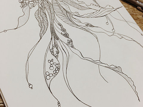 水母