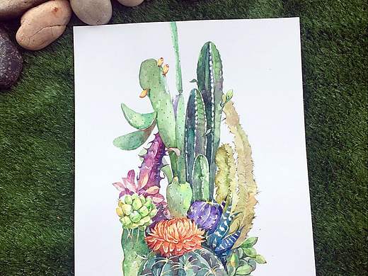 植物系水彩（仙人掌）