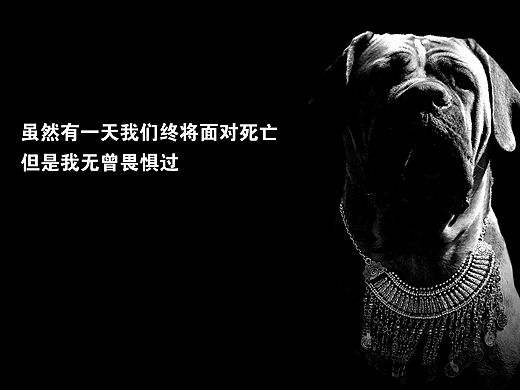 2016.31.31（个人主页-ZMTU3MTE3NjA=） - 宣传物料 - 站酷设计师疯狂的伊娃原创素材 - 站酷ZCOOL