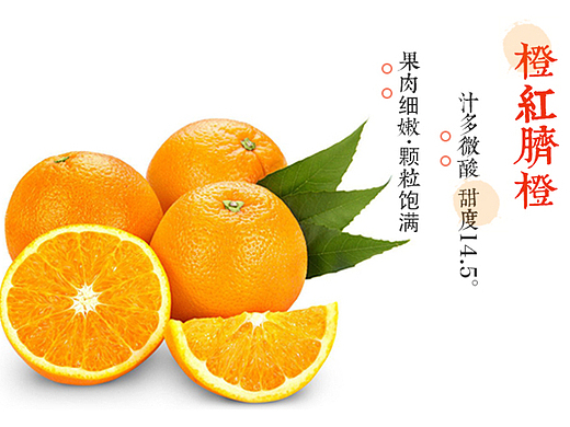 产品设计