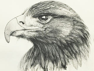 【手绘】硬笔素描小本《时光动物园》