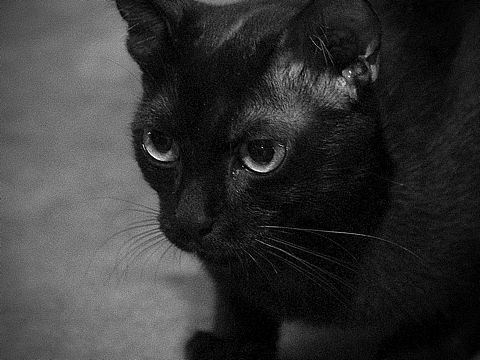 11点深圳（个人主页-ZNDYzODgwMTY=） - 人文/纪实摄影 - 站酷设计师好帅的山楂原创素材 - 站酷ZCOOL