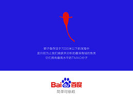 画册