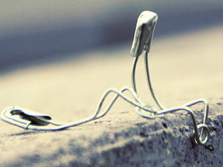 陪伴（個(gè)人主頁-ZNTE5Njc4NA==） - 風(fēng)光攝影 - 站酷設(shè)計(jì)師BaD_Joe原創(chuàng)素材 - 站酷ZCOOL