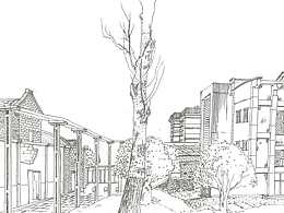 插画