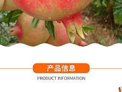 石榴详情