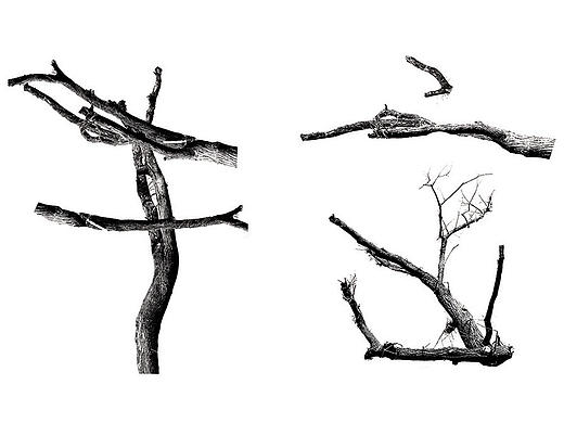 【字言字语】两年前做的毕业设计