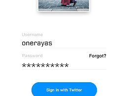 Daily UI 012 Sign in Interface.