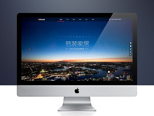 企业网站
