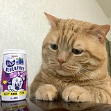 一条人LOPEZ的头像