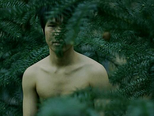 丛林男