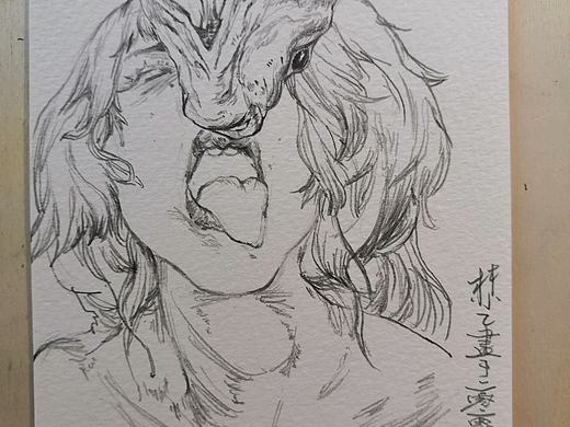 人物线描