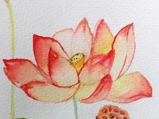 水彩-荷花