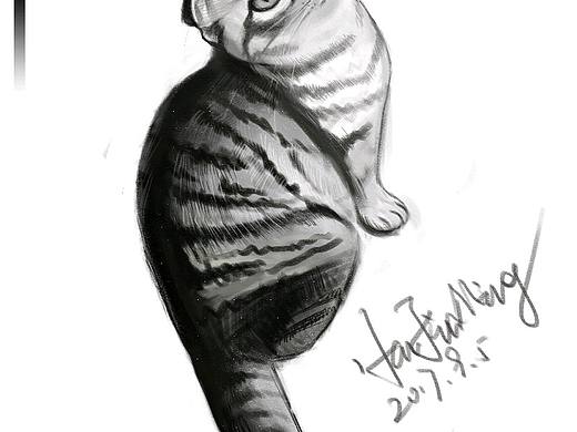 一只猫的自拍（个人主页-ZMjM3NzI3OTI=） - 像素画 - 站酷设计师MISSMEOW原创素材 - 站酷ZCOOL