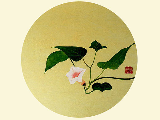 地瓜花