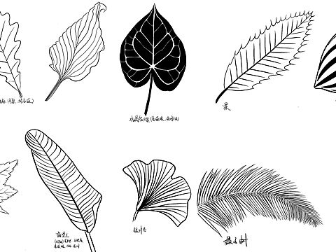 插畫(huà)（個(gè)人主頁(yè)-ZNTk1MzI0Njg=） - 創(chuàng)作習(xí)作 - 站酷設(shè)計(jì)師安安an_原創(chuàng)素材 - 站酷ZCOOL