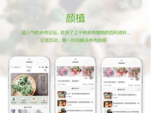 颜植app