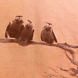 遼東旗人的头像