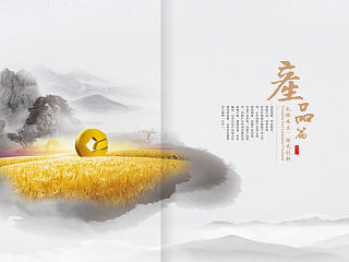 利辛农商行品牌画册