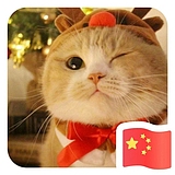 仇小亮的头像