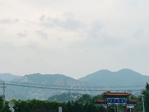 走走停停