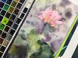 【水彩花卉】夏荷