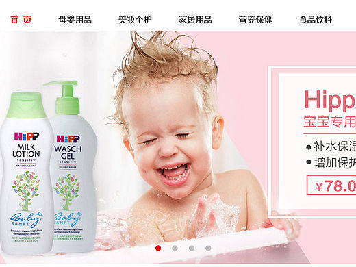 电商网站——中大门