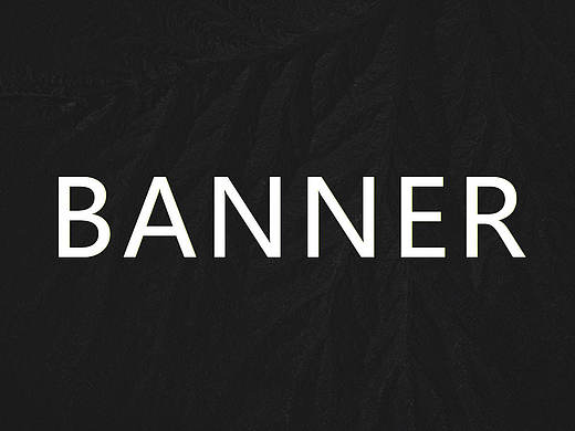 banner