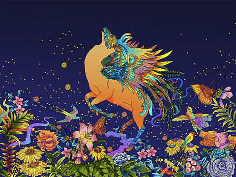 星空下的鹿