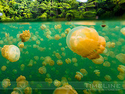 在上帝的水族箱飞翔 [Part2]