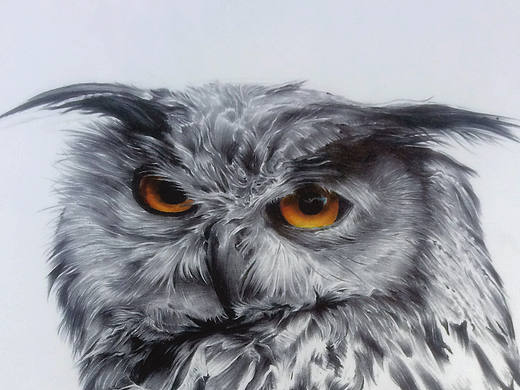 我们走 皮皮鹰QAQ