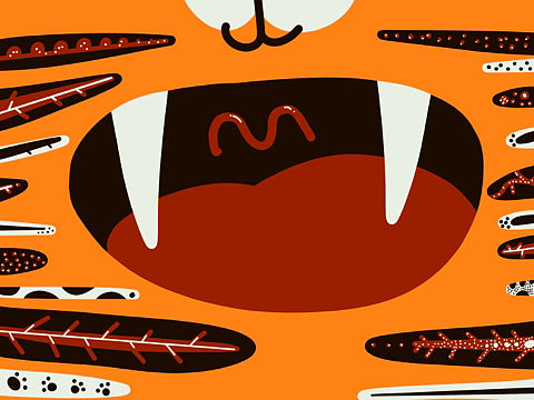 老虎花 2022原创系列壁纸