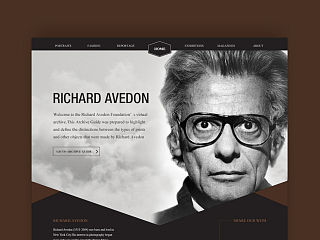 理查德-爱维顿 摄影作品网页设计