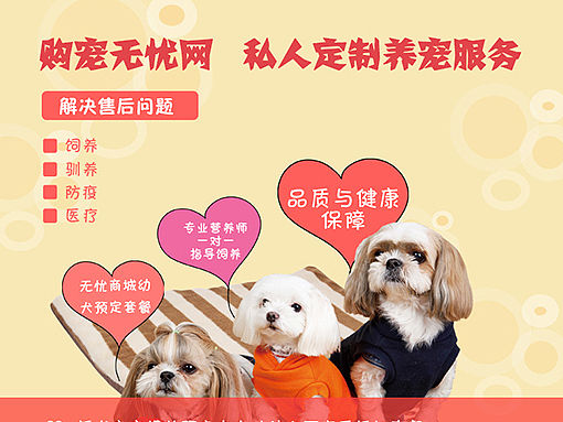 购宠无忧网（个人主页-ZMTU1MTk5MjQ=） - 运营设计 - 站酷设计师我不是坏孩纸原创素材 - 站酷ZCOOL