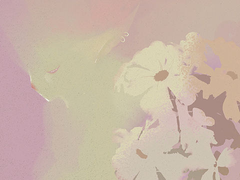 花事了