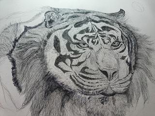 清明小假小练习