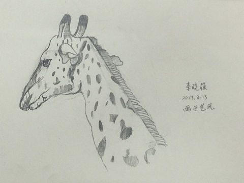 孩子動(dòng)物臨摹（個(gè)人主頁-ZMjA4MzE1NDg=） - 兒童插畫 - 站酷設(shè)計(jì)師藝風(fēng)2017原創(chuàng)素材 - 站酷ZCOOL