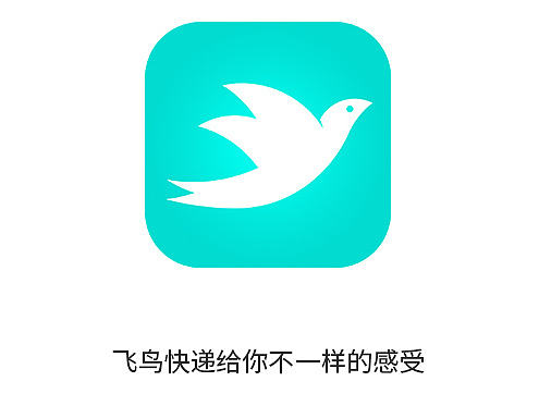 飞鸟快递APP