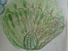 孔雀開(kāi)屏東南飛