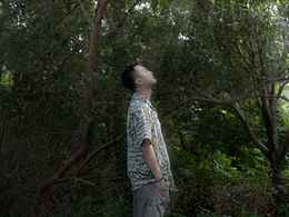 午后森林