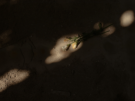 光的轮廓（个人主页-ZNjA0NzA5ODg=） - 人像摄影 - 站酷设计师Samletter原创素材 - 站酷ZCOOL