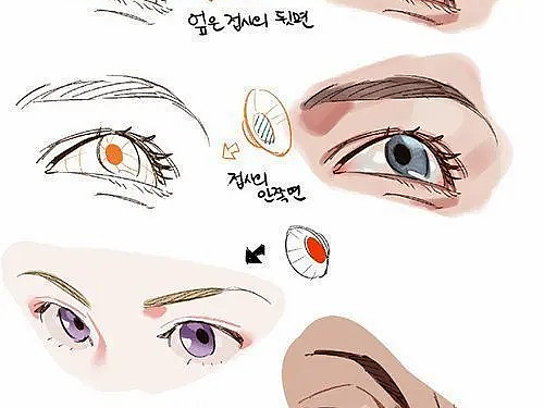 如何画好眼睛 ？不同角度的眼睛透视画法！