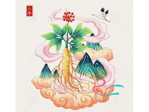 国风人参手绘插画