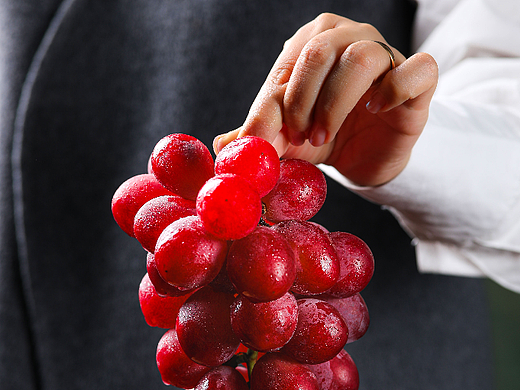 木兰果园 X 城市上空|妮娜皇后葡萄🍇