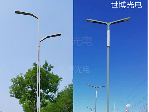 12米双臂路灯户外个性路灯杆造型高低臂不规则路灯厂家