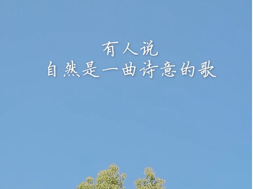 海尔Natural系列锅视频×拍摄剪辑颛孙奥