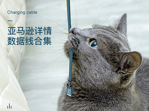 亚马逊数据线详情*4和三维动画视频*2